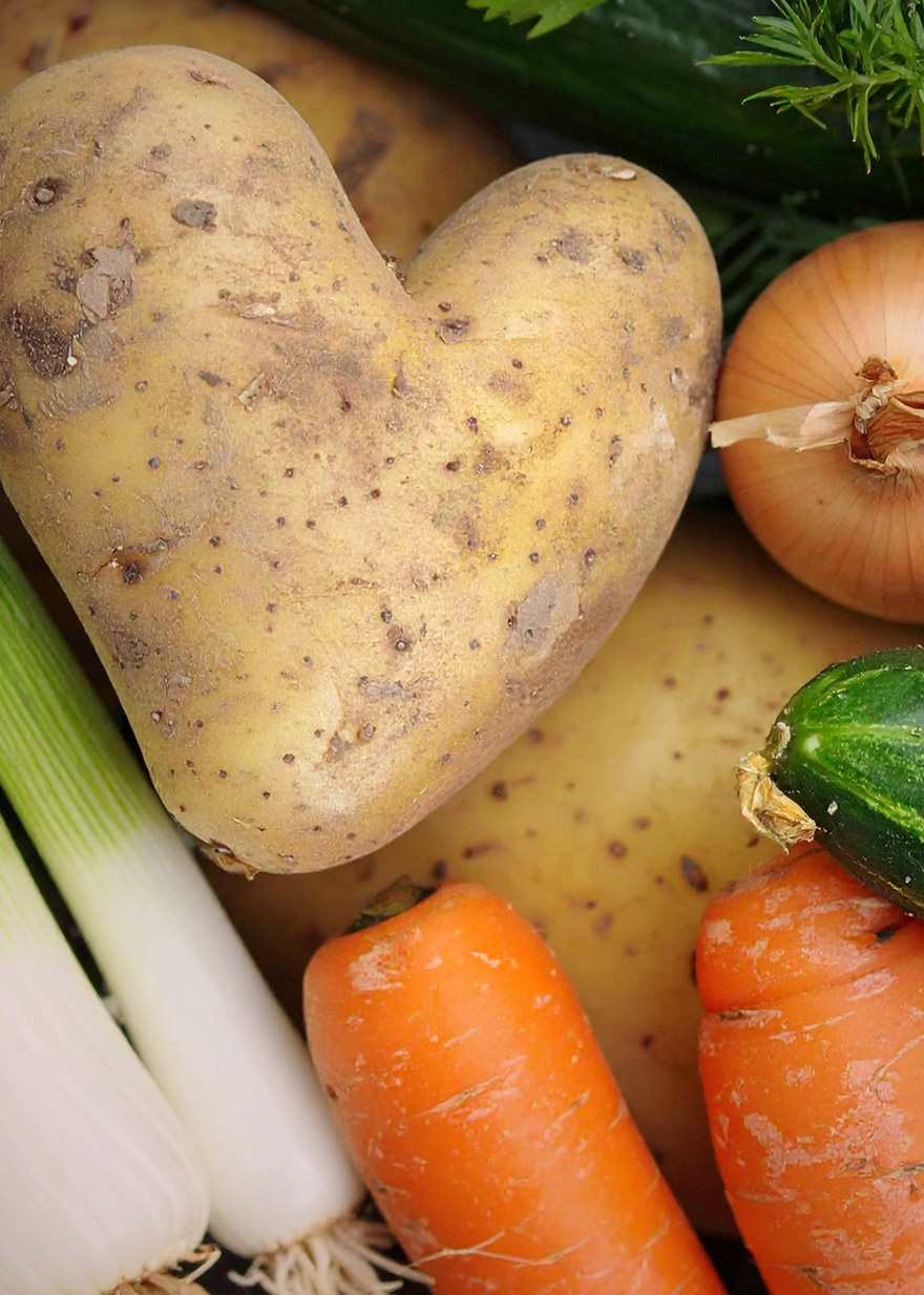 Bären Frauenkappelen frisches Gemüse Bären Frauenkappelen frisches Gemüse